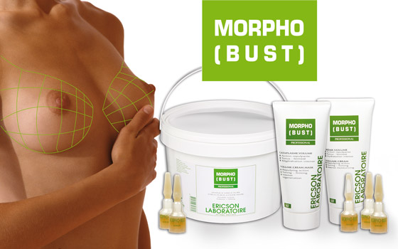 morfo 1